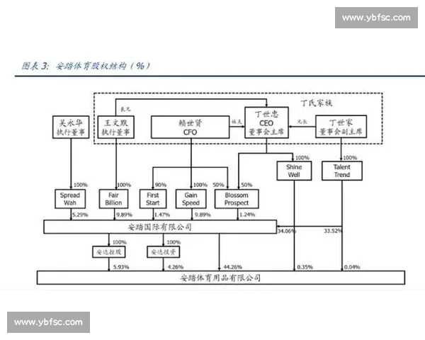 提升体育组织运营效率的策略与管理模式创新研究