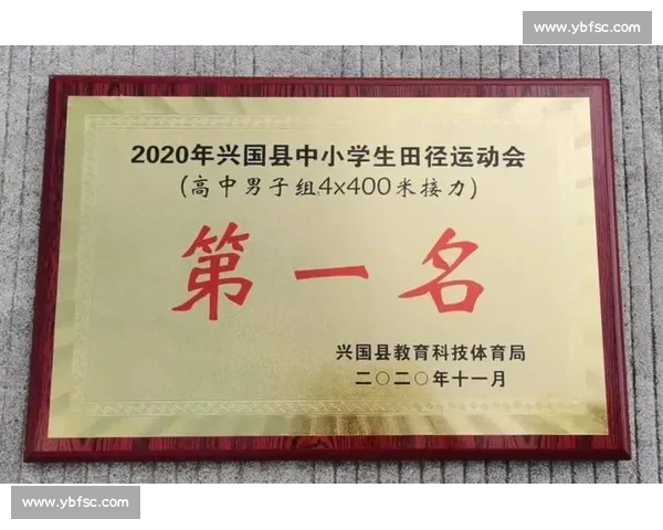 全国各地体育竞赛成绩排行榜及运动员表现综合分析报告